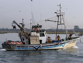 Hetairas vs putas
