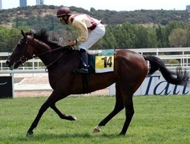 Complicada jornada en Dos Hermanas