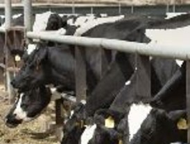 Productores en contra de un acuerdo UE Mercosur