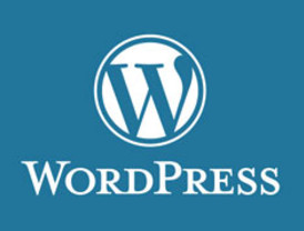 WordPress.com, víctima del mayor ataque de su historia