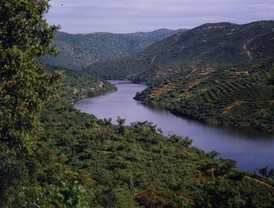 La Junta convoca mesas de seguimiento en zonas afectadas por las inundaciones