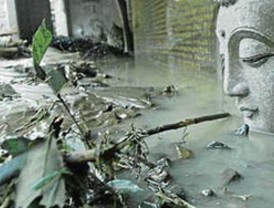 Tengo una mentira para usted