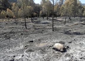 Soriano: "El incendio de Hellín no ha sido un accidente"