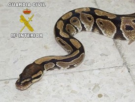 La religión 'evista'