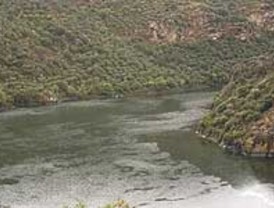 Estudiantes de periodismo se tapan la boca