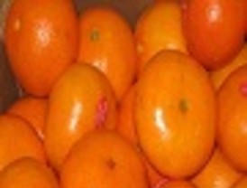 Recuperan 400 kilos de mandarinas sustraídas que se encontraban en la parte trasera de un coche