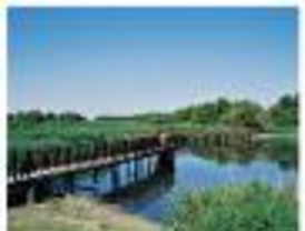 Un maravilloso capricho