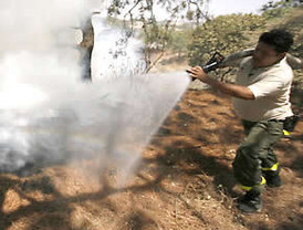 Dos foros analizarán la lucha contra los fraudes