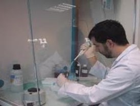 Caja Guadalajara aprueba por unanimidad su fusión con Cajasol