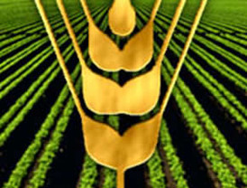 Un mundo cada vez más urbano requiere un nuevo enfoque