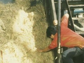 Bloquean venta de azúcar a EE.UU.