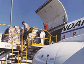 'Matadorcitas' clasificaron al mundial de voley