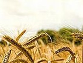 Encontraron más casos de trabajadores explotados en el campo