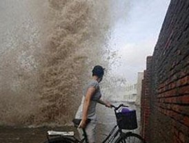 Los inmigrantes musulmanes están bien en España