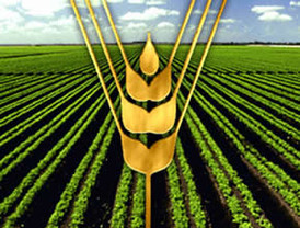 Guía para países afectados ante el alza de los precios alimentarios