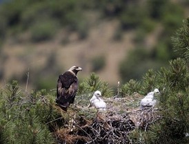 'No hay crisis de Gobierno'... al menos, según De la Vega