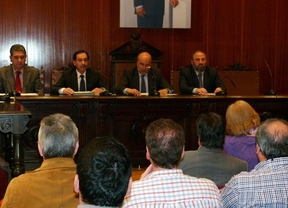 El pleno del Ayuntamiento de Manzanares invita a reflexionar sobre la violencia