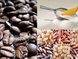 e-Xcelentes del miércoles, 31 de diciembre de 2008