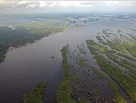 Banco suizo UBS prevé este 2009 año “muy difícil”