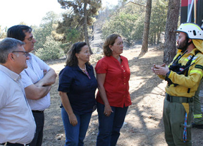 700 hectáreas afectadas en el incendio de El Real de San Vicente