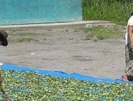 Claudio Pizarro pide la cabeza de 'Chemo' Del Solar