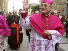 Isea denuncia presencia de paramilitares