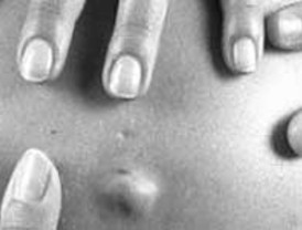 Si baja precio del petróleo Ecuaor atraerá inversión foránea