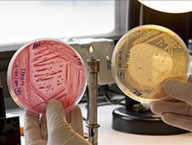 Shakira, abucheada en Suiza por llegar tarde al concierto