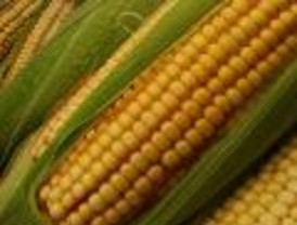 Los mandos policiales acaban siendo los 'malos' del cuento