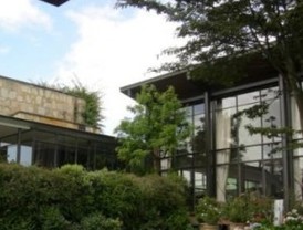 Morgan Freeman demandado