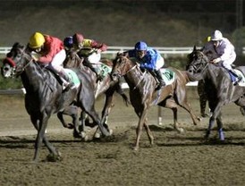 Las salidas de Roubini