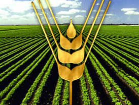 Isabel Preysler, emocionada con la boda de Julio Iglesias Jr.