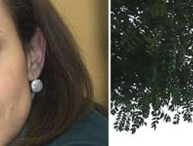 Massa considera estar totalmente recuperado después de accidente