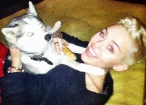 ¿Cómo murió la perrita de Miley Cyrus?