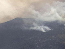 Desde el Vaticano directo a la Basílica de Guadalupe