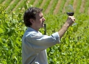 'Los Vinos Sumiller' ayudan a encontrar el vino adecuado para cada uno