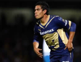 ¿A cuánto sale el político?