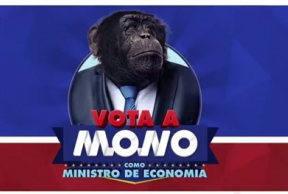 Un Mono consigue 80.000 votos para apoyar su candidatura a Ministro de Economía