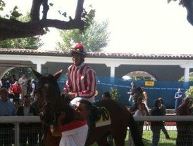 Gitanos rumanos 'lacra' y 'plaga'