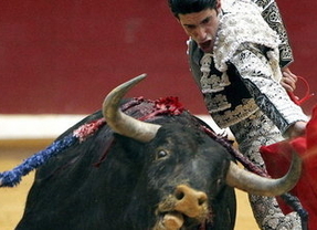 ¿Deben los niños poder asistir a los toros? La ONU propone un límite de edad bajísimo