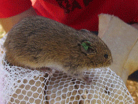 UE exhorta a Colombia y Venezuela a dialogar