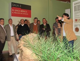 Choque de trenes en la India causa la muerte de 20 personas