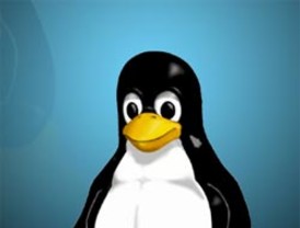 Pedrosa reaparecerá en Australia para asegurarse ante Rossi el subcampeonato del mundo