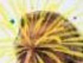 Los “errores” de Clarín