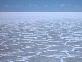 Reportaron 99 casos nuevos de Gripe A y suman 569