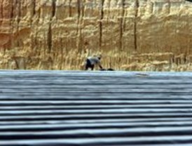 Marta Sánchez brilla en Nueva York con 'I will survive'