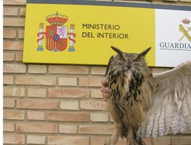 La roja como placebo