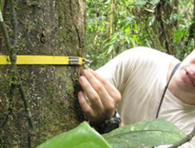 IULV-CA pide abrir el periodo de sesiones con un debate sobre la reforma de la Constitución