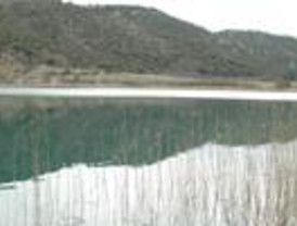 El rey de Bélgica aplaza su decisión sobre la dimisión del Gobierno