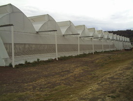 Asaja pide que se intensifique la vigilancia en zonas rurales tras la muerte violenta de un agricultor en Najar